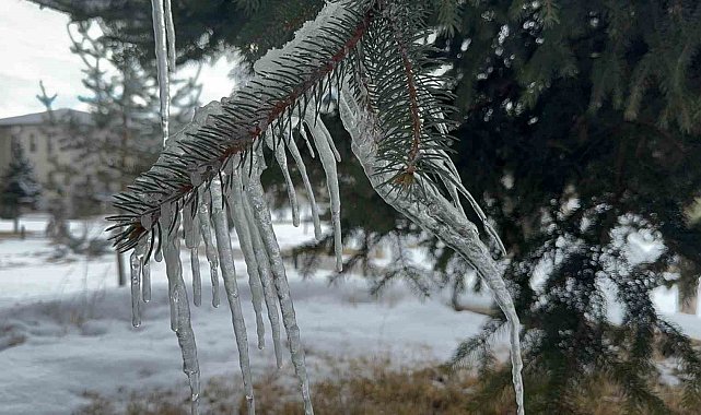 Ağrı'da dondurucu soğuklar etkili oluyor