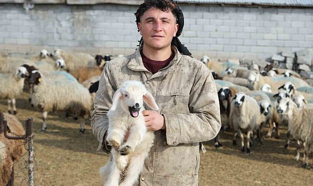Annesinin reddettiği engelli kuzuya evde bebek gibi bakılıyor