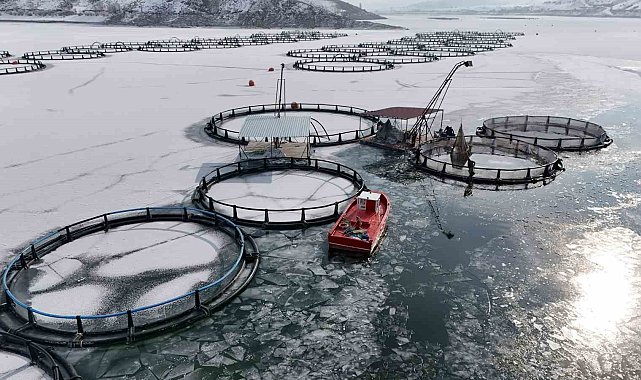 Antarktika değil Erzincan; Belgeselleri aratmayan görüntülerle buz tutan gölde balıkçılık serüveni