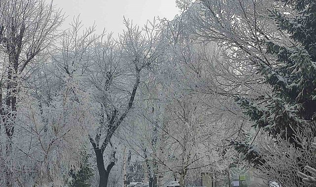 Ardahan'da Sibirya soğukları: Göle eksi 19