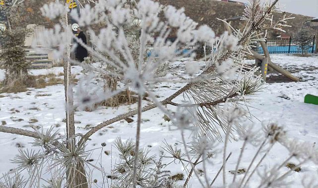 Ardahan'da Sibirya soğukları
