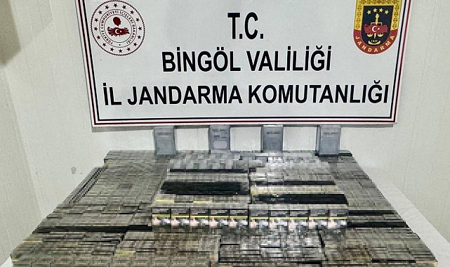 Bingöl'de aranan 2 şahıs yakalandı