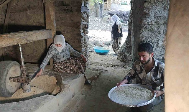 Bitlis'te asırlık su değirmenlerinde çeltikler pirinç haline getiriliyor