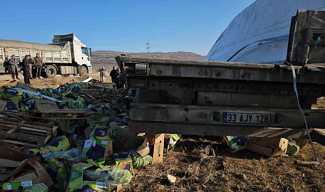 Bitlis'te devrilen tırın sürücüsü yarandı