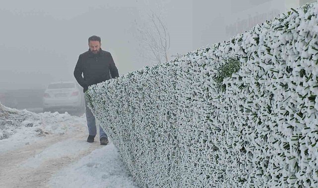 Bitlis'te dondurucu soğuk etkili oluyor: Ağaçlar kırağıyla kaplandı