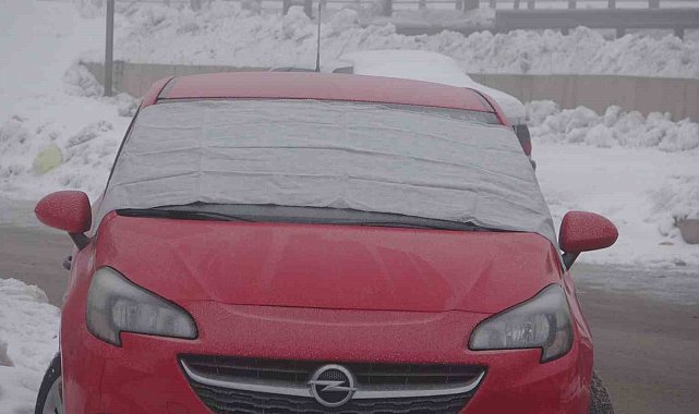 Bitlis'te sis ve dondurucu soğuklar