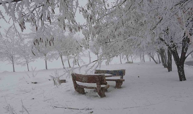 Bitlis'te yoğun sis