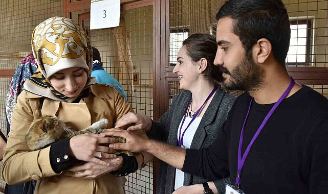 Büyükşehir Hayvan Barınağı'nın kapasitesini artırıyor