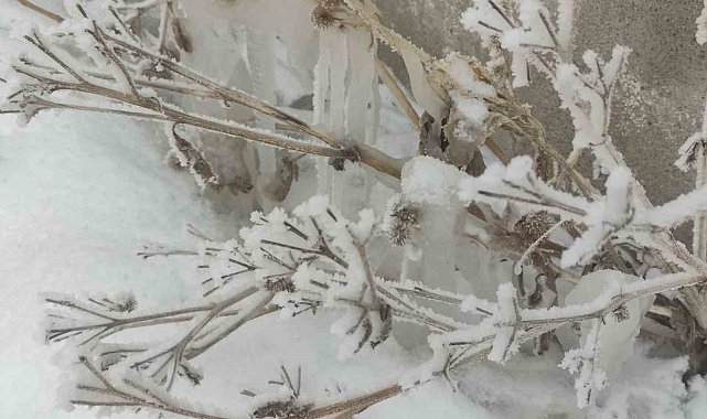 Dondurucu soğuklar devam ediyor, Göle eksi 31,5 derece