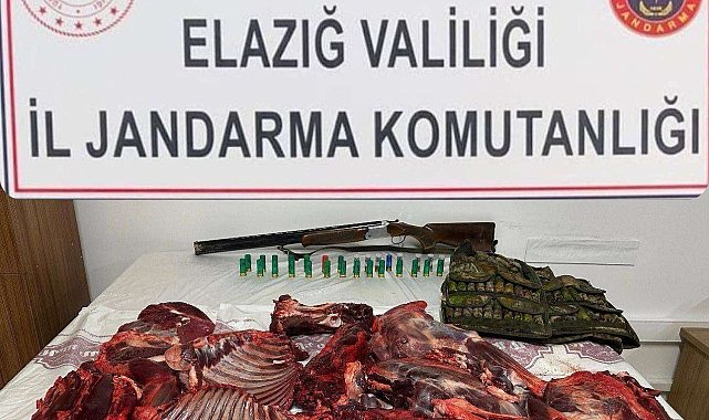 Elazığ'da dağ keçisini avlayan şahsa 650 bin lira ceza kesildi
