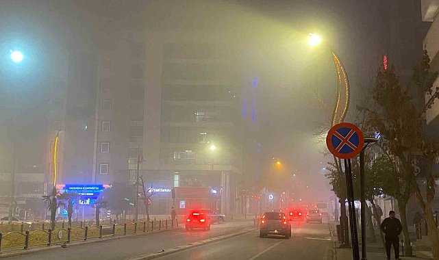 Elazığ'da yoğun sis: Görüş mesafesi 5 metreye kadar düştü