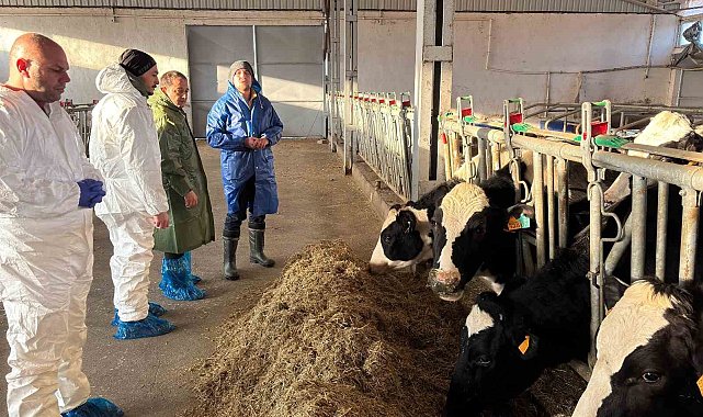 Erzincan'da 3 işletme ari işletme olmak için başvuru yaptı