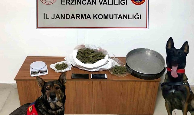 Erzincan'da jandarma ekipleri 2024 yılı Aralık ayında meydana gelen olayların yüzde 98'ini aydınlattı