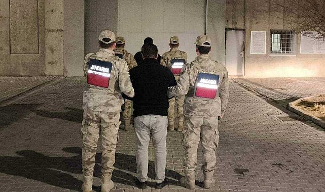 Iğdır'da 15 düzensiz göçmen yakalandı