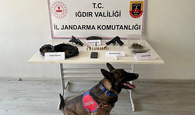 Iğdır'da uyuşturucu ve silah kaçakçılığına yönelik operasyon