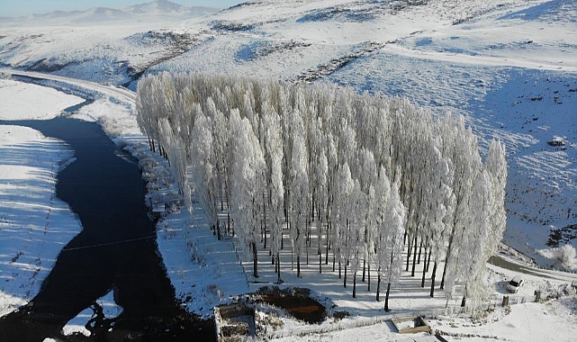 Kars dondu, ağaçlar kırağı tuttu