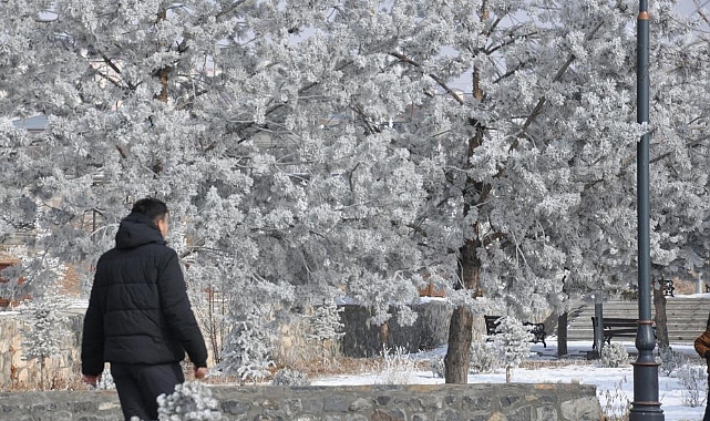 Kars'ta kırağı manzarası mest etti