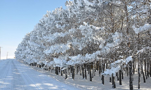 Kars'ta soğuk hava etkisini gösterdi