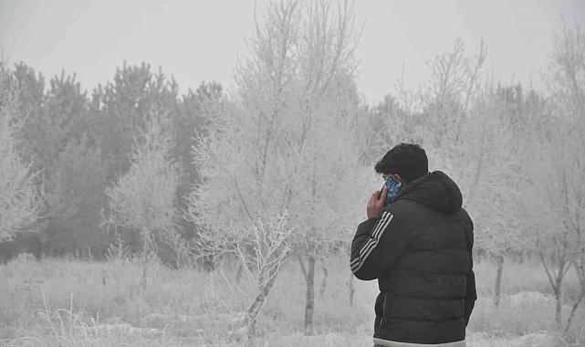 Kars'ta sis, soğuk ve kırağı hayatı olumsuz etkiledi