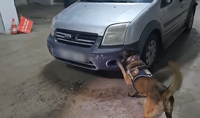 Kars'ta uyuşturucu, narkotik köpeği Şila'ya takıldı