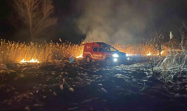 Malatya'da otluk alanda yangın