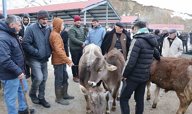 Oltu'daki hayvan pazarı yeniden açıldı