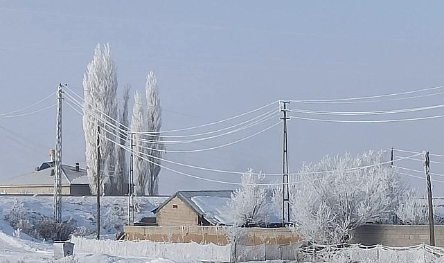 Özalp ve Saray buz kesti, ağaçlar kırağı tuttu