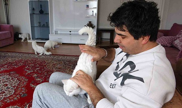 Van kedilerinin neslini kurtarmak için evinin kapılarını açtı