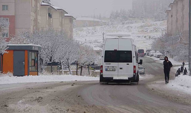 Van'da kar yağışı hayatı olumsuz etkiledi