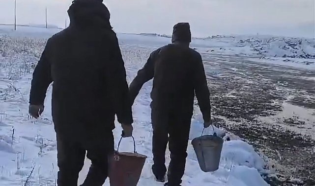 Van'da yaban hayvanları için doğaya yem bırakıldı