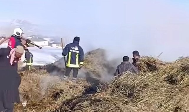 Van'ın İpekyolu ilçesinde ot yangını