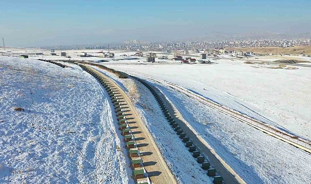 'Doğal yaşam alanı' sahipsiz hayvanların evi oldu