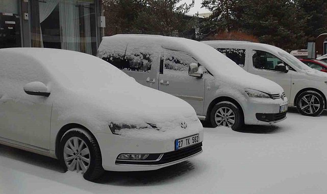 Ahlat'ta kar yağışı, 8 köy yolu ulaşıma kapandı
