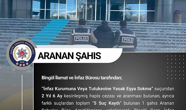 Bingöl'de kesinleşmiş hapis cezası bulunan 2 şüpheli tutuklandı