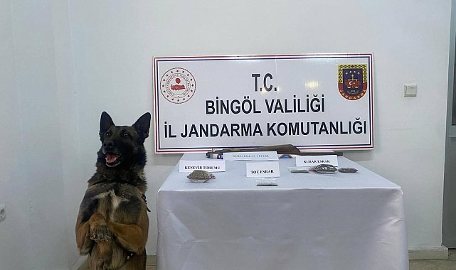 Bingöl'de uyuşturucu madde ve 3 adet tüfekle ele geçirildi