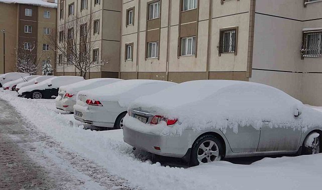 Bitlis'te kapanan 219 köy yolundan 170'i ulaşıma açıldı