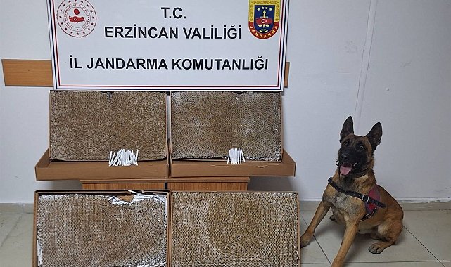 Erzincan'da 2025 Ocak ayında jandarma mıntıkasında meydana gelen 126 olayın yüzde 99'u aydınlatıldı