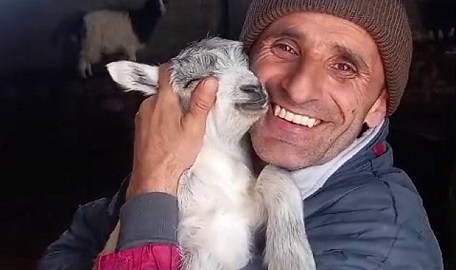 Fenomen çobanın kuzu sevgisi