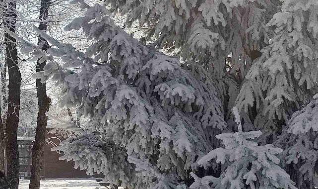 Göle'de hava eksi 27,7 derece: Araçlar soğuktan çalışmadı