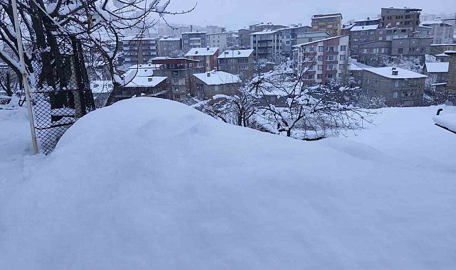 Hakkari'de 190 yerleşim yolu kapandı
