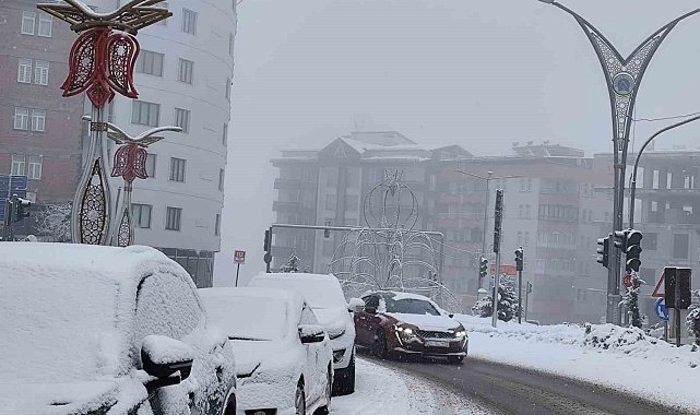 Hakkari'de kar ve sis etkili oluyor