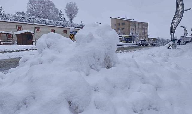 Hakkari'de kar yağışı: 168 yerleşim yerinin yolu kapandı
