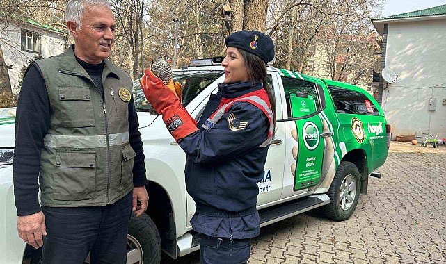 HAYDİ ekibi tarafından bulunan yaralı atmaca DKMP'ye teslim edildi