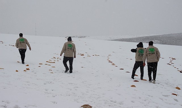 Hayvanların doğada aç kalmaması için çalışma yaptılar