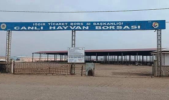 Iğdır Hayvan Pazarı şap hastalığı nedeniyle geçici kapatıldı