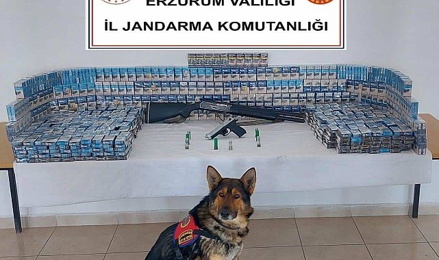 Jandarmadan kaçak sigara operasyonu