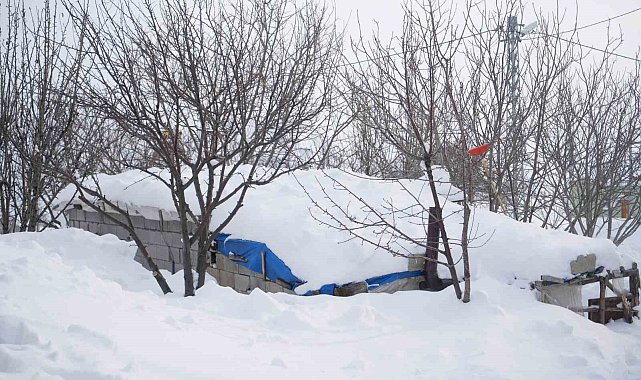 Kalecik köyünde evler ve ahırlar metrelerce karın altında kaldı