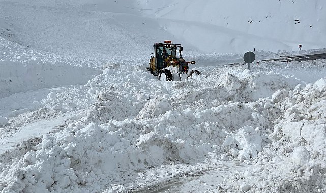 Karayolları ekipleri sınır hattında karla mücadele etti