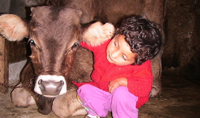 Kars, 4. sıradaki yerini korudu