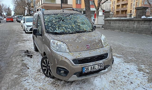 Kars'ta karga dışkıları halk sağlığını tehdit ediyor
